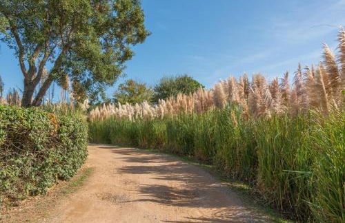 Résidence Domaine De Caranella - Foto 10