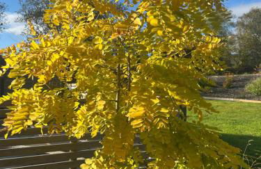 Ty Mawr, The Old School Holiday Homes - Pet Friendly - Foto 72