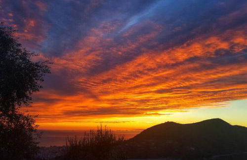 La Vivagna - Casa vista mare tra gli ulivi - Foto 25
