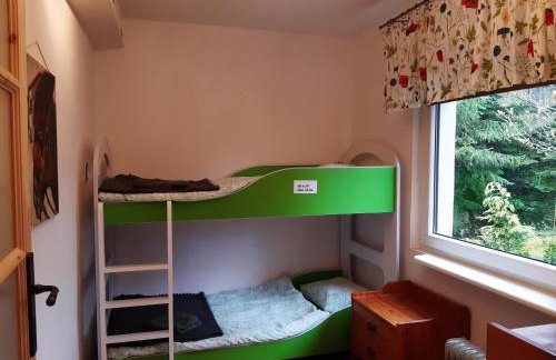 EKO - Domek jezioro Steszewko - Foto 24