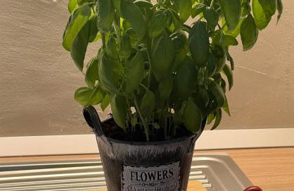 CasaVacanze Donna Manu - Foto 20