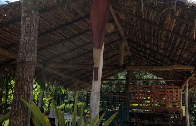 Excursión a Chã Preta y Serra Lisa - Foto 1