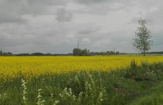 Dom w spokojnej okolicy - Foto 31