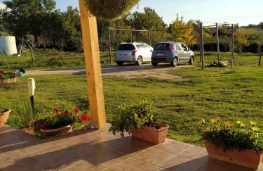 Casa vacanze Le mimose Colline di Tropea - Foto 10