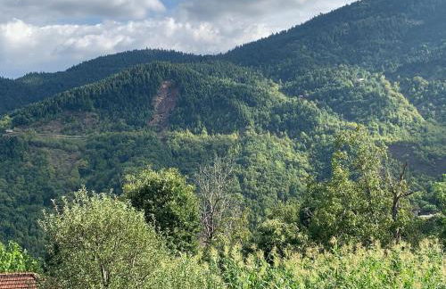 Konstantakos Michail - Photo 4