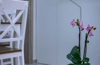 Renovated 2BD house close to Pireus port - Foto 11