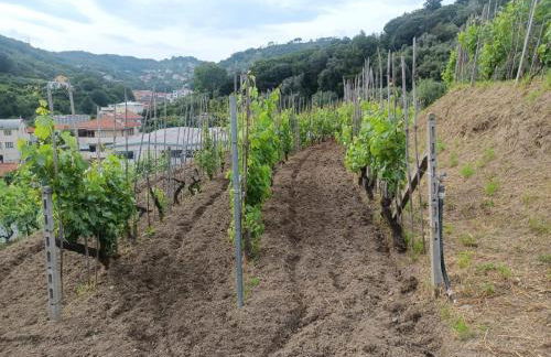 Agriturismo Cele - Foto 36