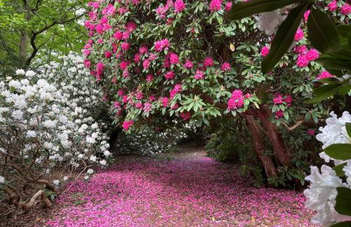 The Observatory Annexe - Foto 36