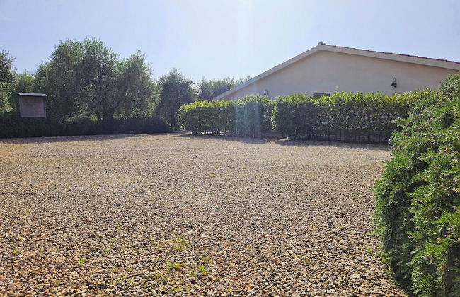 Agriturismo Il Migliarino - Foto 20