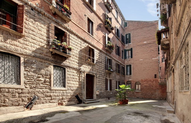 White Flowers - Foto 30