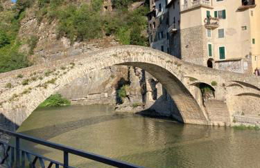 La Tillanzia - Foto 10