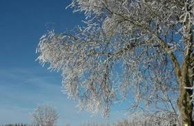 Ferienwohnung Zum Heideblick - Photo 26