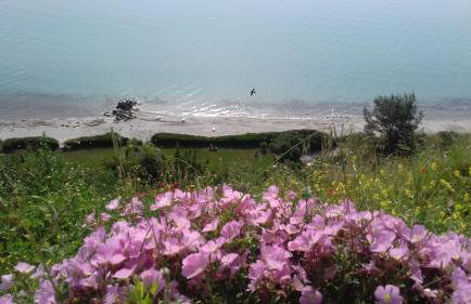 Aegean Blue Studios - Foto 63