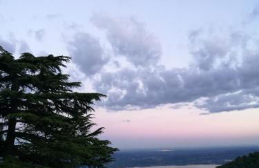 Il Parco e gli Affreschi - Foto 33