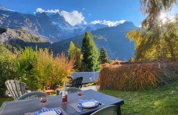 Chez Philippe - Appartements et Chalets - Panoramic Village vue Glaciers - Photo 108