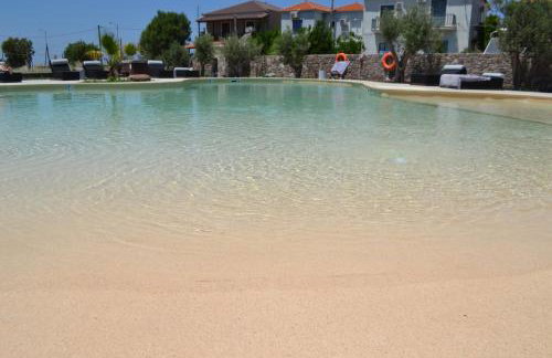 Niki Studios Sea - Front - Photo 3