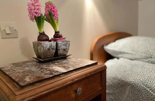 LANOISELEE - Foto 25