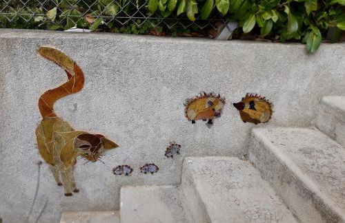 Charmant Horizon - Foto 40