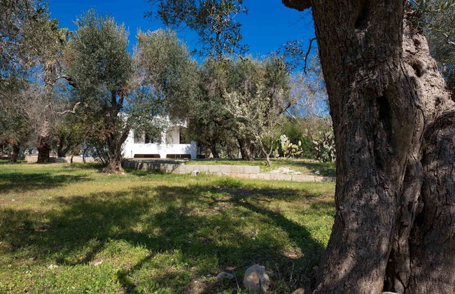 Casa Marina - Foto 28