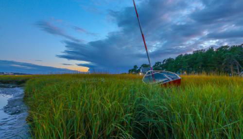 Sweet EmOcean - Foto 3