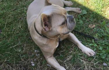 LA MAISON D'ULYSSE spa et détente - Foto 46