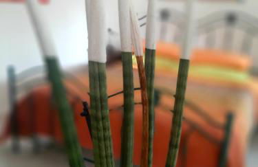 Villa Carrieri - Foto 46