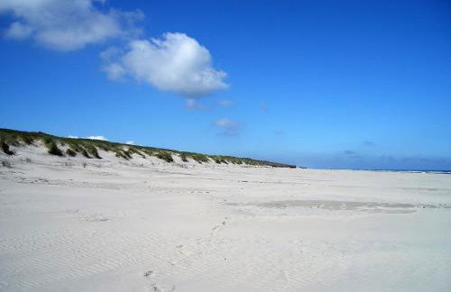 Haus Delft Phyllis - Foto 8