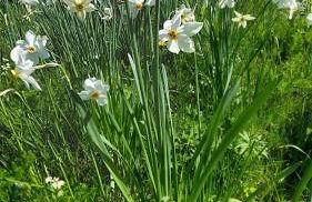 CASA VACANZA NIDO COLLETTO - Foto 28