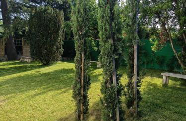 Casa delle Foglie - Foto 31