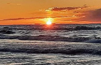 Orzechowy Dworek - Foto 45