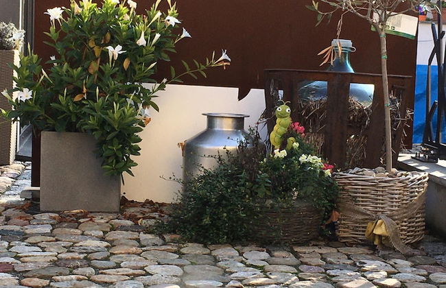 Schmuckkästle am Hafen - Foto 67