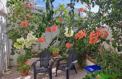 Friends'house - azores - Foto 20