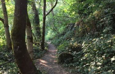 West Linn Relaxing Entire Home WiFi TV Yard BBQ Eateries - Foto 23