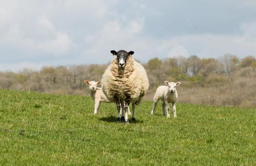 Chater Barn - Foto 8