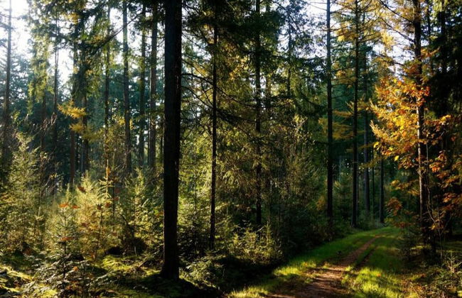 Cottage Near Bourtange With Hot Tub - Foto 29