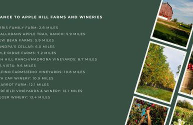 Home in the Pines - Apple Hill - Dog Friendly - Snow Nearby - Foto 44