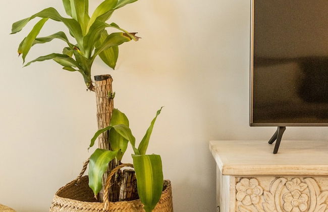 Clover House Tavira in Tavira - Foto 23