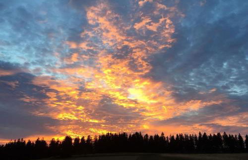 Haus Lila Welle - Foto 24