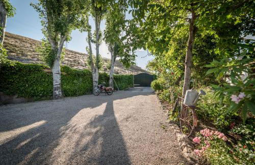 Al Agia - Los Molinos de Padul - Foto 37