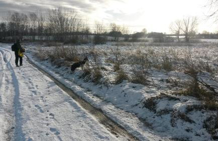 Dziki brzeg Jezioraka - Foto 46