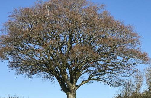 Astronomer Shepherd's hut - Foto 2