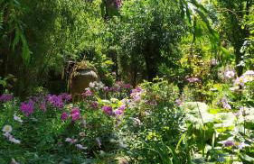 Ferienwohnung Exoten-Paradies im Garten Seggewiß - Tierfreie Nichtraucherwohnung in Raesfeld, Kreis Borken - Foto 25