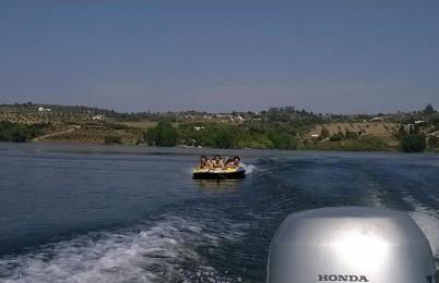 Monte da Tojeirinha - Foto 30