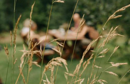 Osada Jelonki Wielka Puszcza - Foto 21