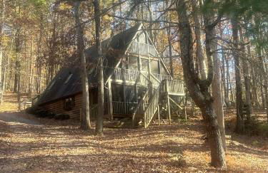 Bearly Behavin - Foto 65