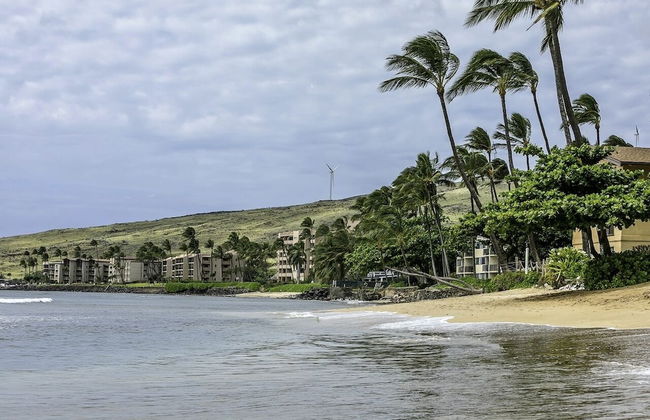 Maalaea Banyans 217 1 Bedroom Condo - Foto 34