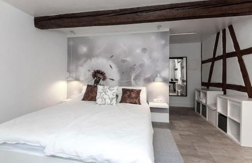 1 Bedroom Gorgeous Apartment In Suhl - Foto 8