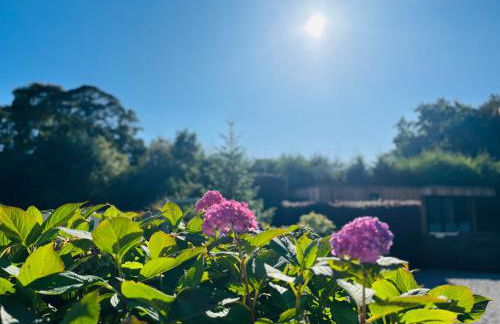 Oakdean Lodge in The Ribble Valley - Foto 15