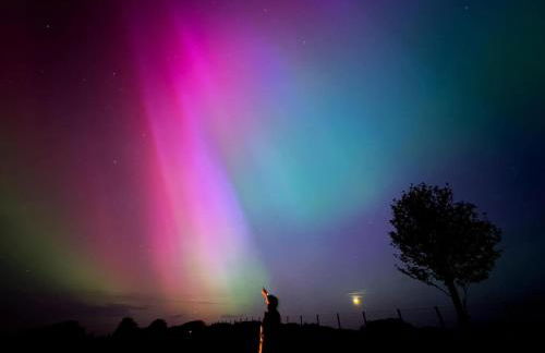 Little Cottage of the Beacons - Foto 29