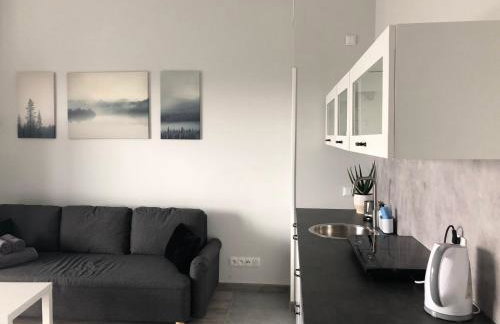 Apartamenty Na wzgórzu - Foto 52